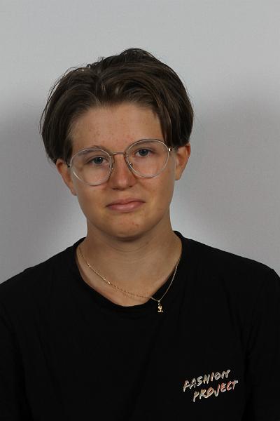 Antedamus Elyne.JPG